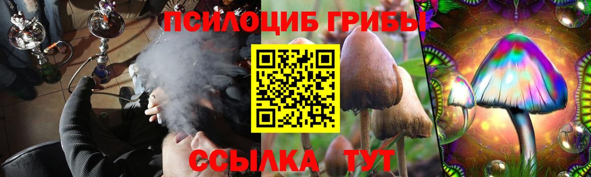Псилоцибиновые грибы Magic Shrooms  Вход с VPN  Отрадный 